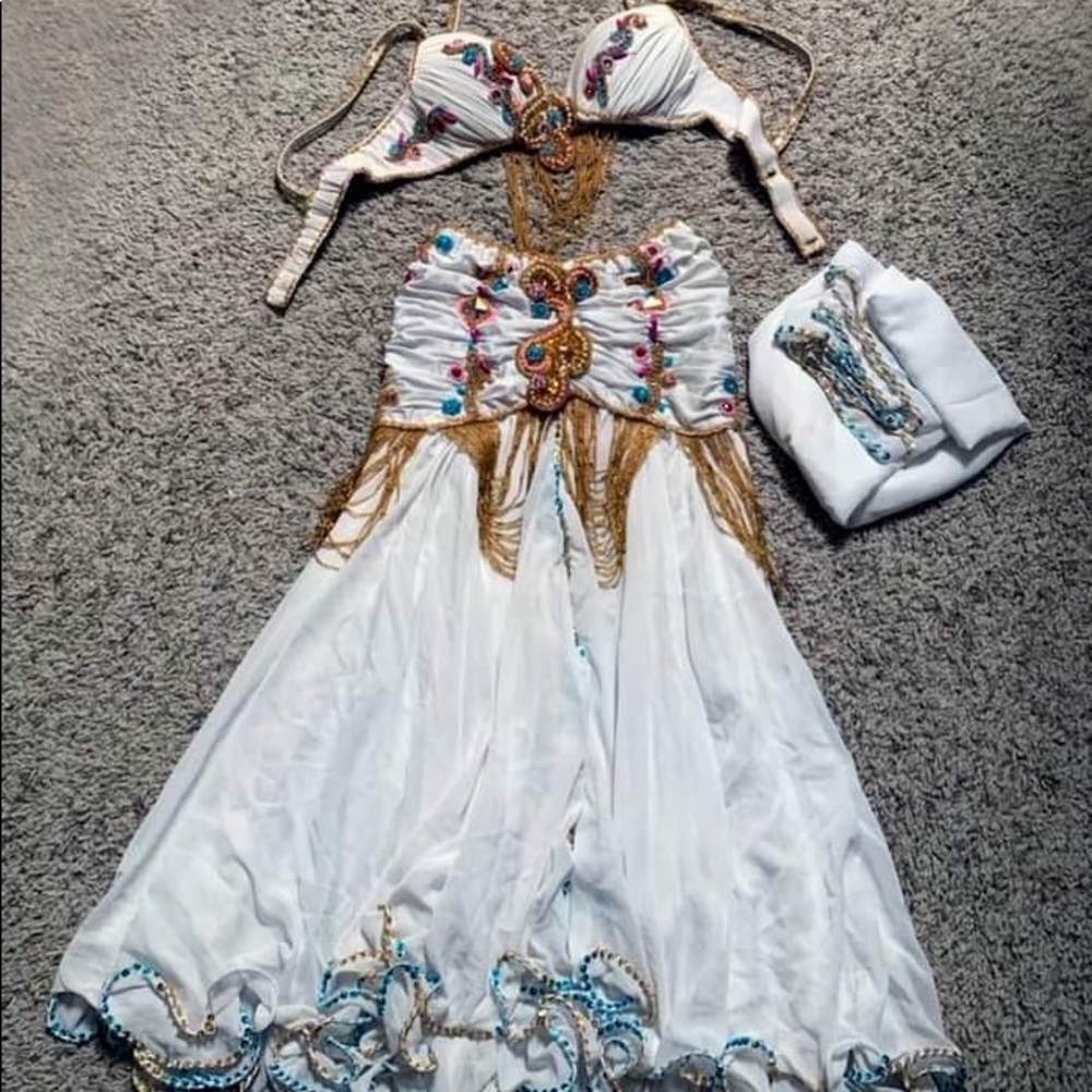 Belly dance costume-professional. Includes bra, veil & skirt